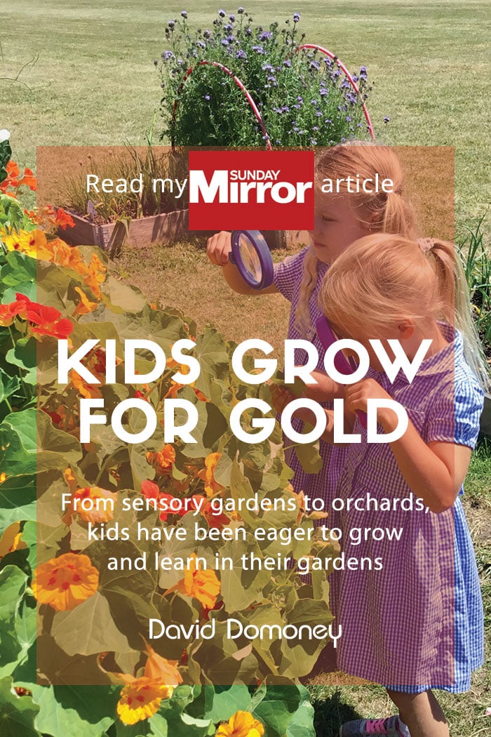 Sunday Mirror article: Kids grow for gold