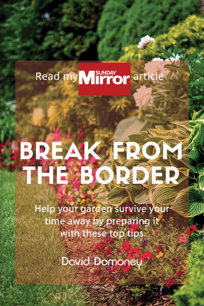 Sunday Mirror article: Break from the border