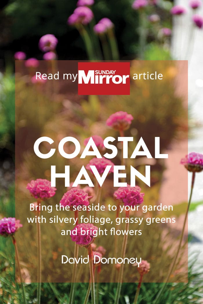 Sunday Mirror article: Coastal haven