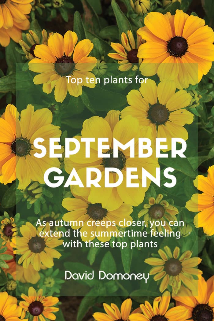 Top ten plants for September