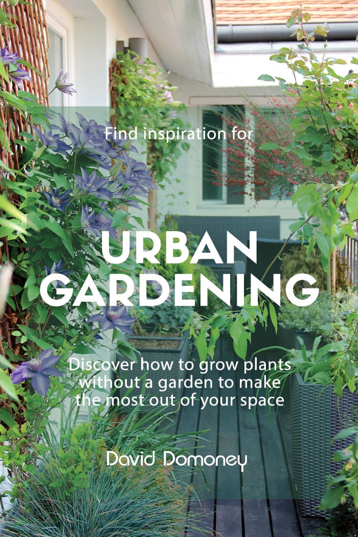 Urban gardening ideas: How to grow plants without a garden