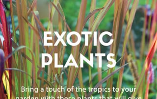 exotic plants