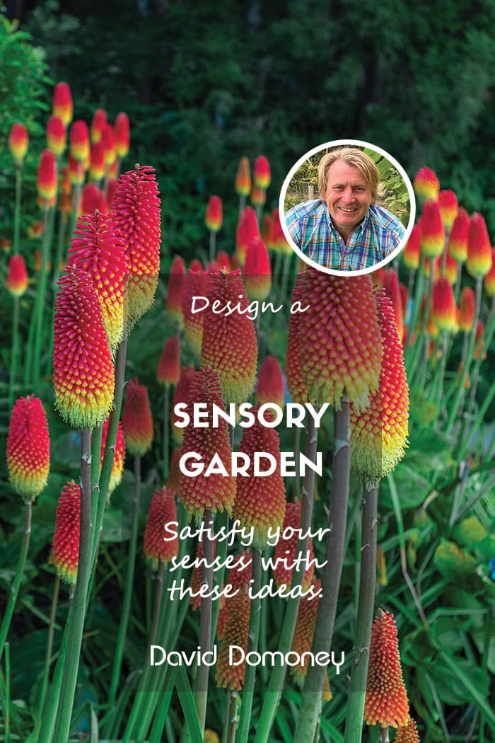 Design a sensory garden