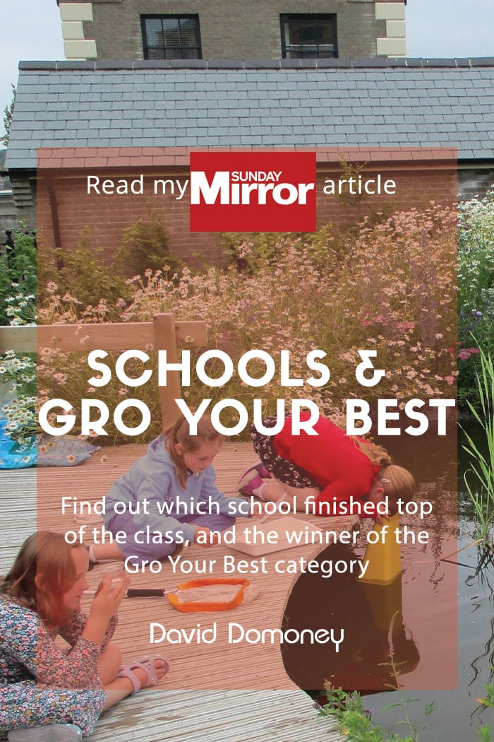 Sunday Mirror article: Cultivation St School & Gro Your Best Winners