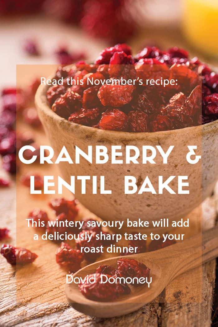 November recipe: Cranberry & lentil bake