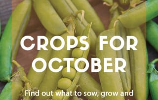 crops october