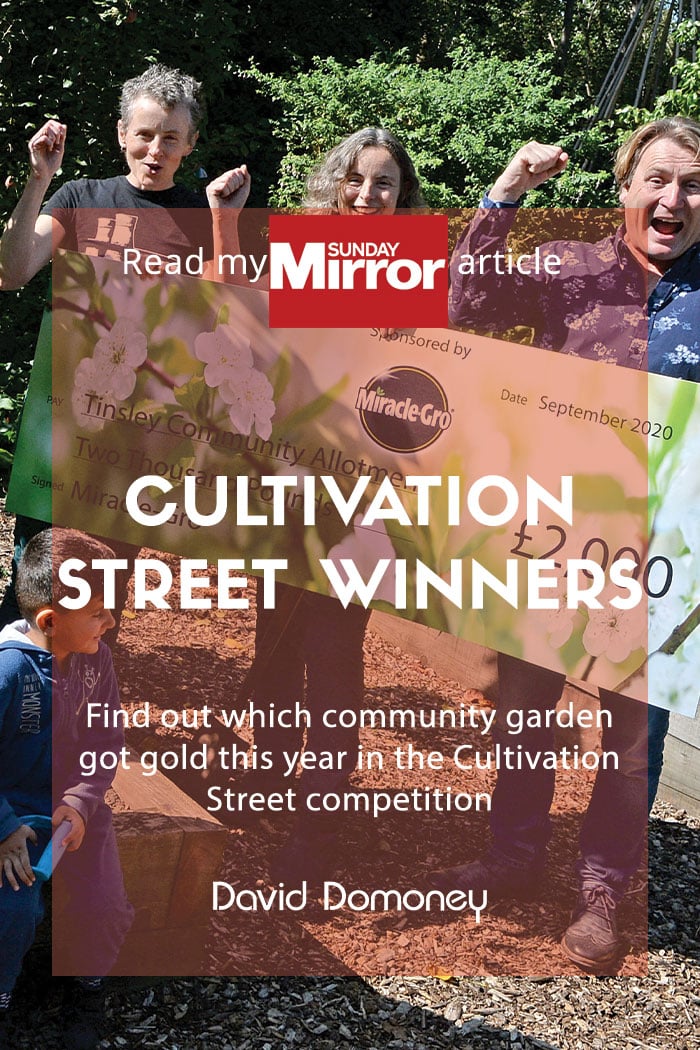 Sunday Mirror article: Cultivation St Community Garden Winners