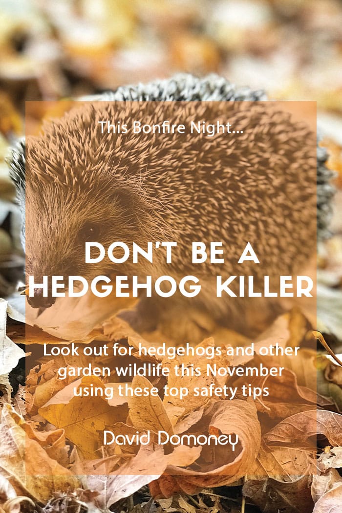 Don’t be a flaming hedgehog killer