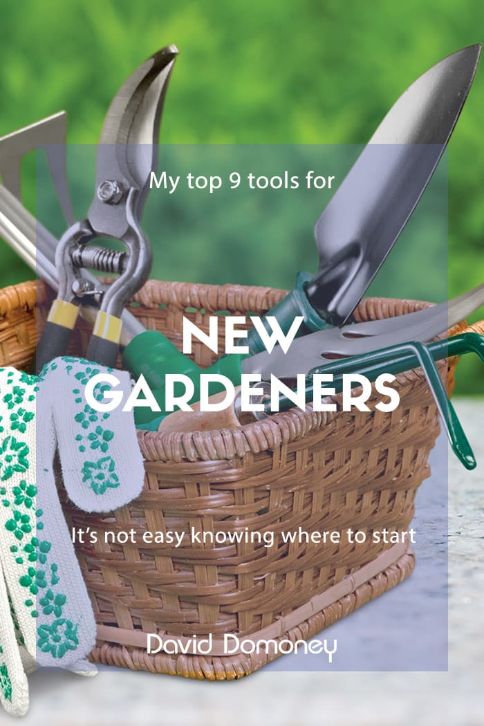 What tools does a beginner gardener need?