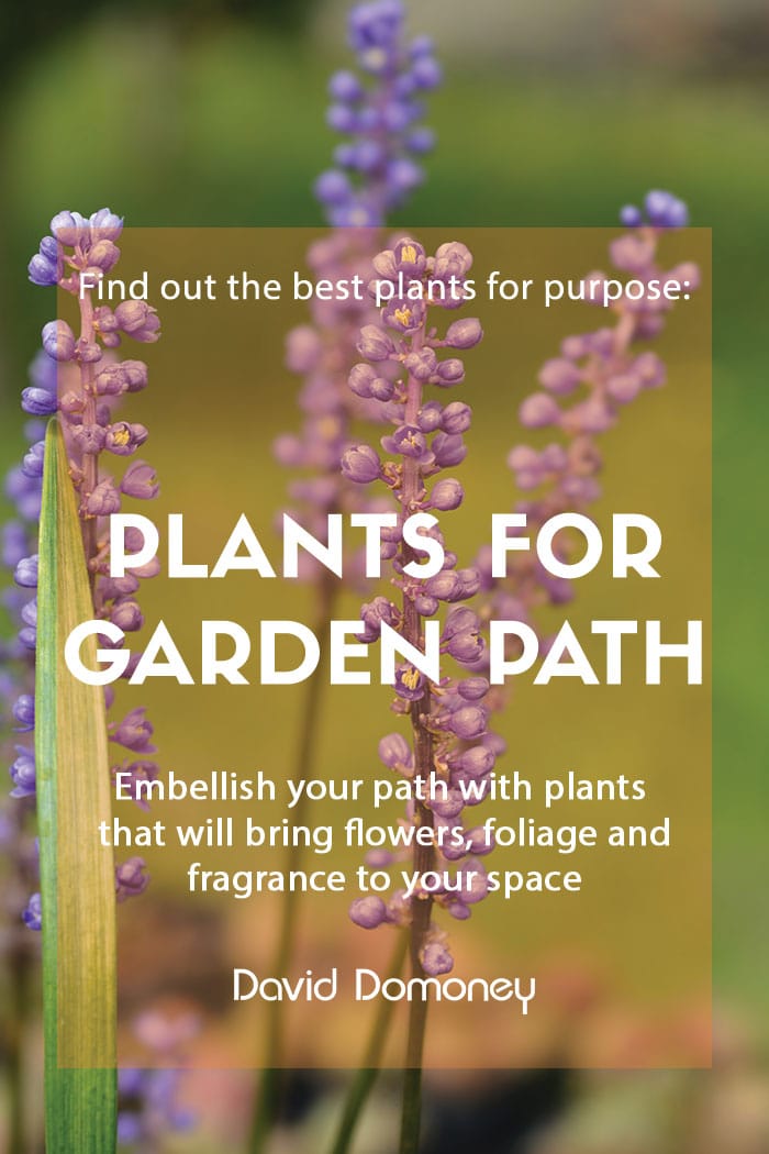 Plants for purpose: Plants for a garden path