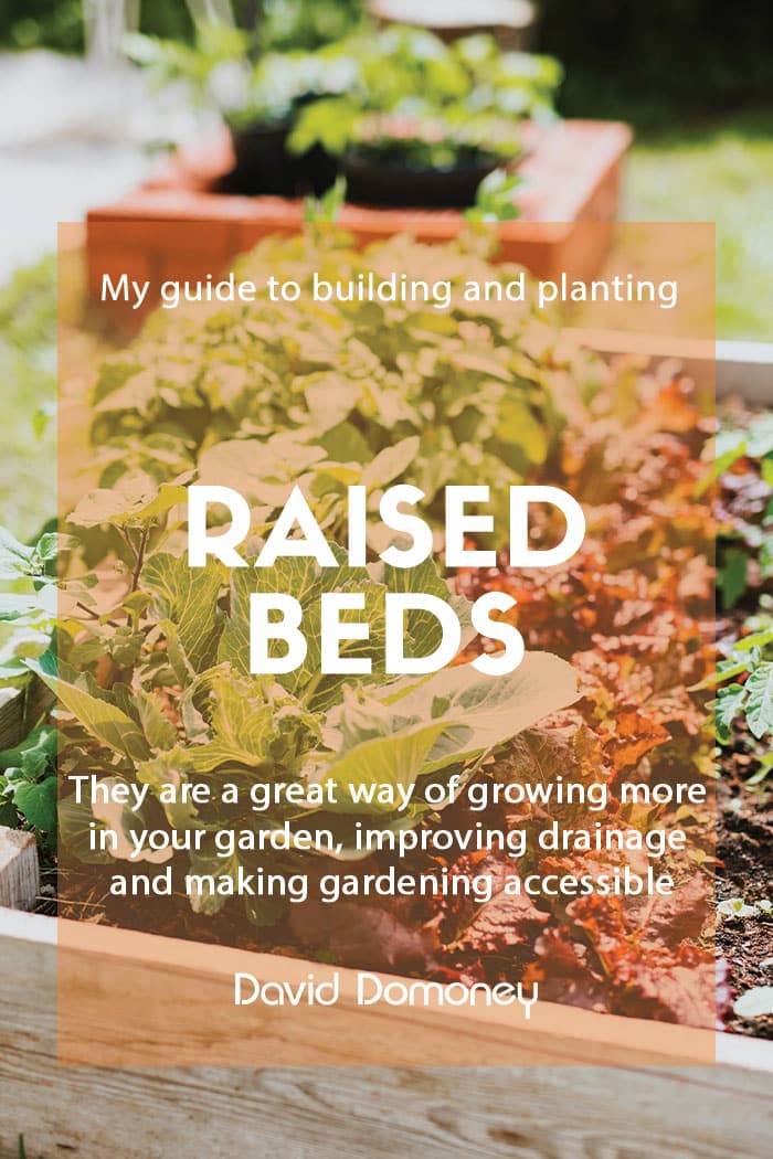 My guide to building and planting in raised beds