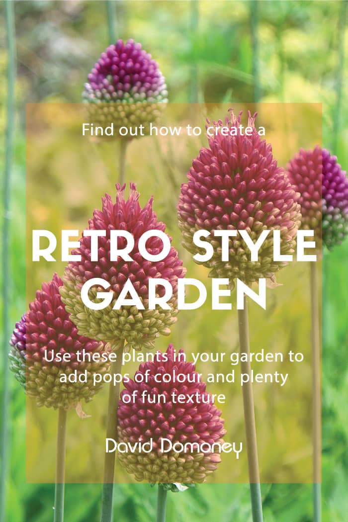 Top ten plants for a colourful retro-style garden