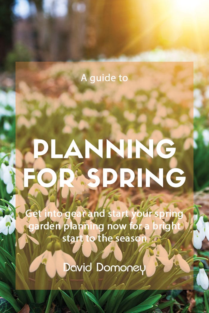 Planning for your spring garden