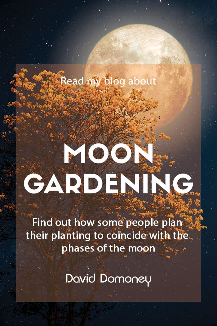 How to practice moon gardening