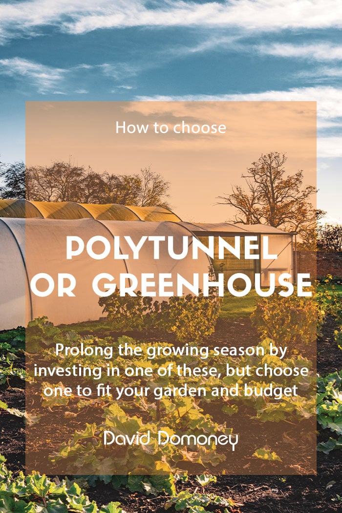 How to choose between a polytunnel and a greenhouse