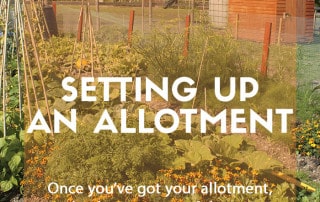 Setting up an allotment