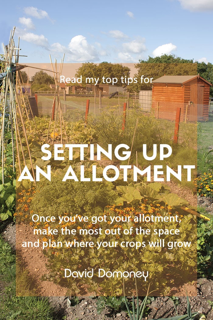 Setting up an allotment