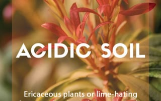 Plants for purpose plants for acidic soil