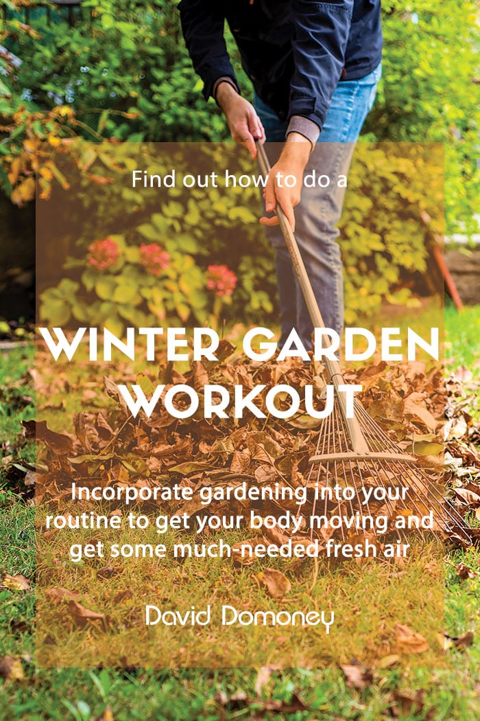 Winter garden workout at home