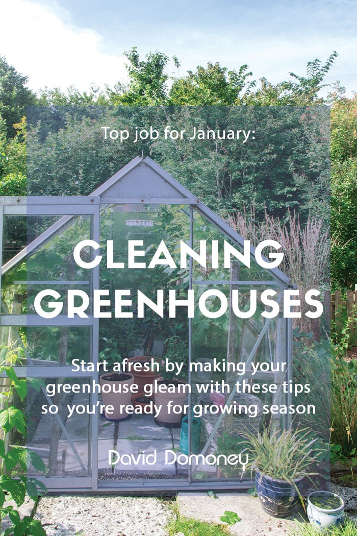 Top job for January: Cleaning your greenhouse