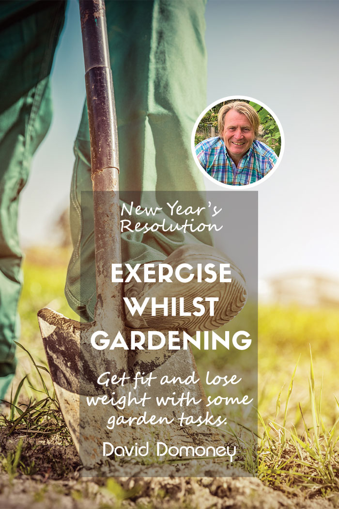 lose weight gardening