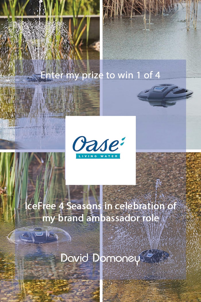 Win an OASE IceFree 4 Seasons