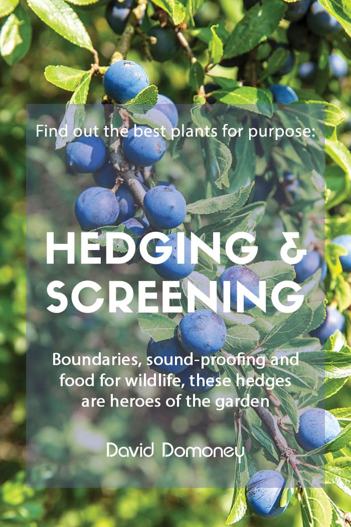 Plants for purpose: Plants for hedging