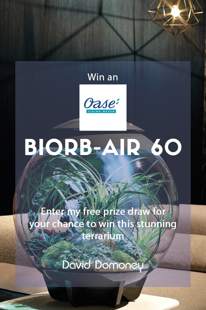 Win an OASE biOrb Air 60 in my free prize draw