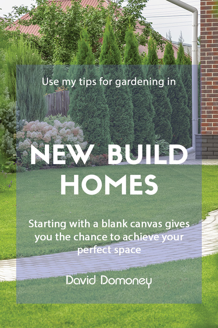 Designing a garden in a new build home