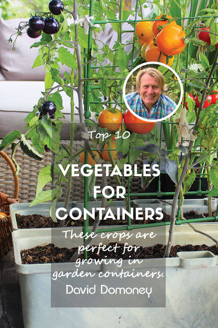 Top 10 vegetable crops for containers