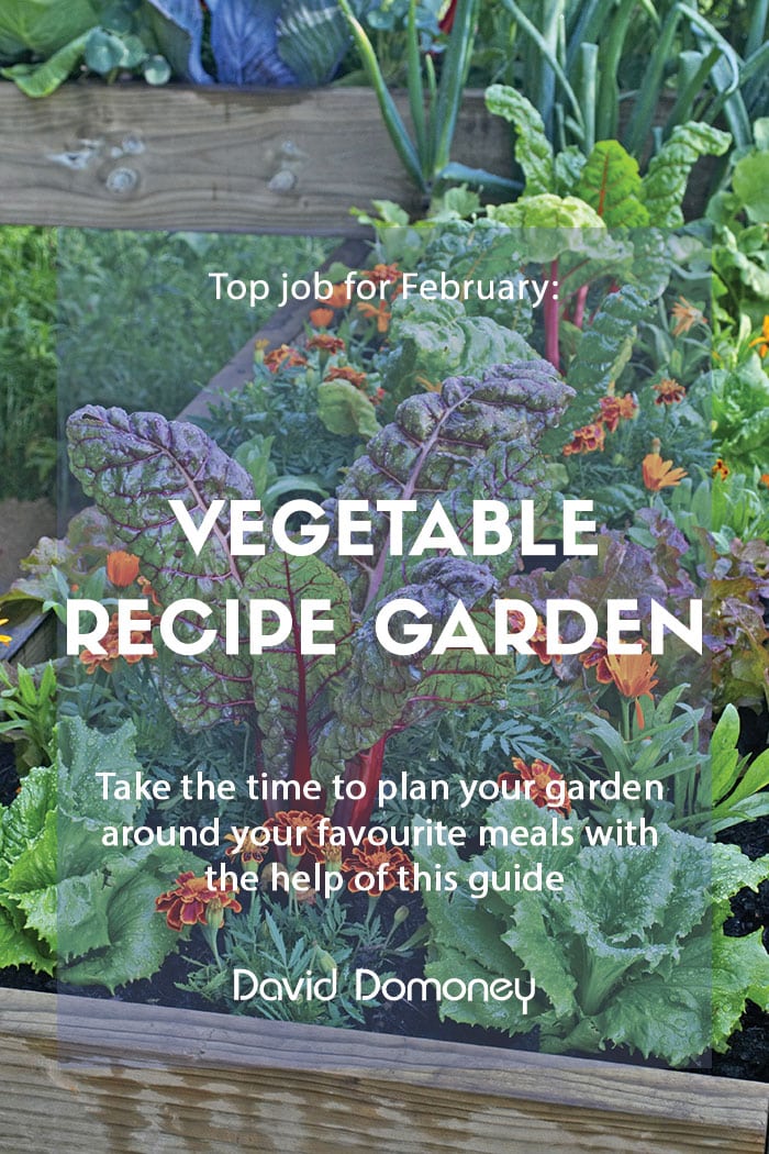 Top job for February: Plan which vegetables to grow for recipes