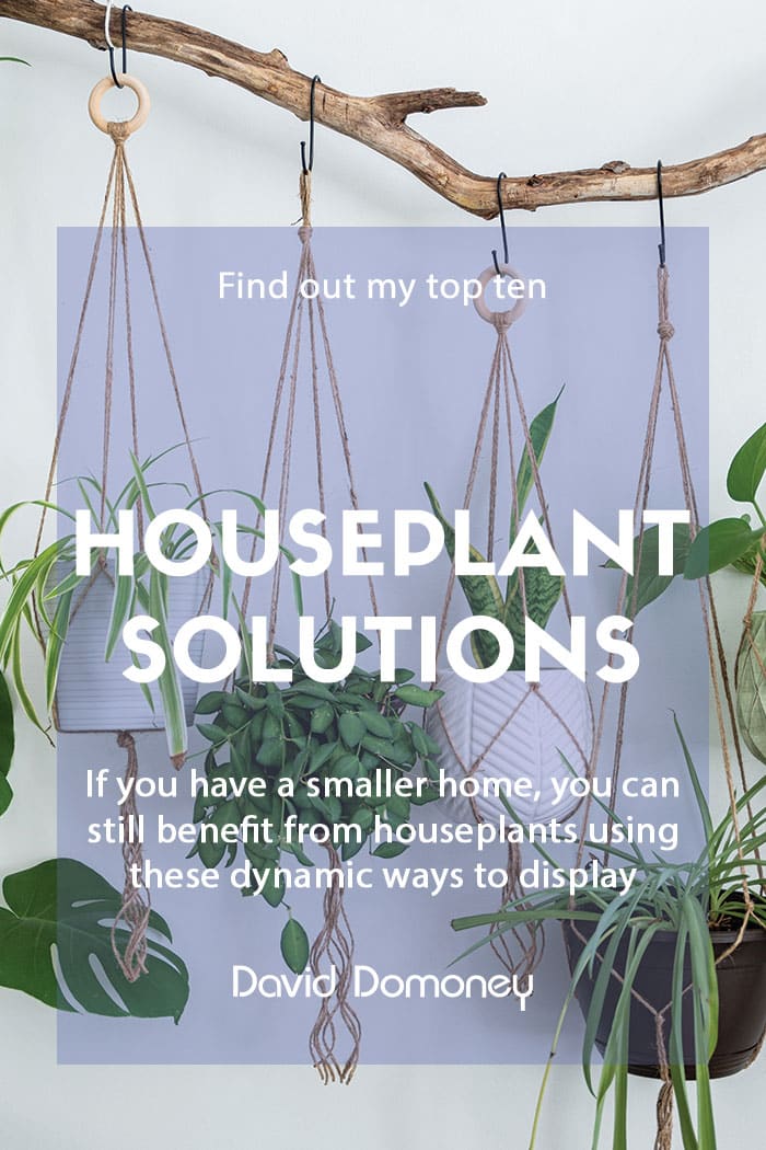 Top ten houseplant solutions for small spaces