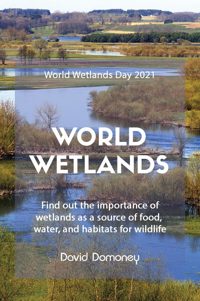 World Wetlands Day 2021