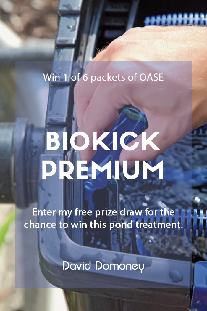 Win OASE BioKick Premium