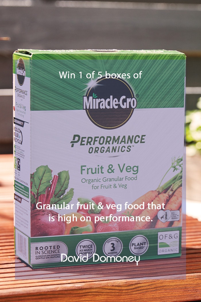 Win 1 of 5 Boxes of Miracle-Gro Organic Plant Food