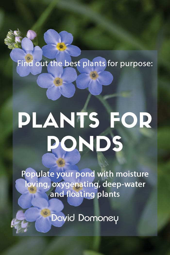 Plants for purpose: Plants for ponds