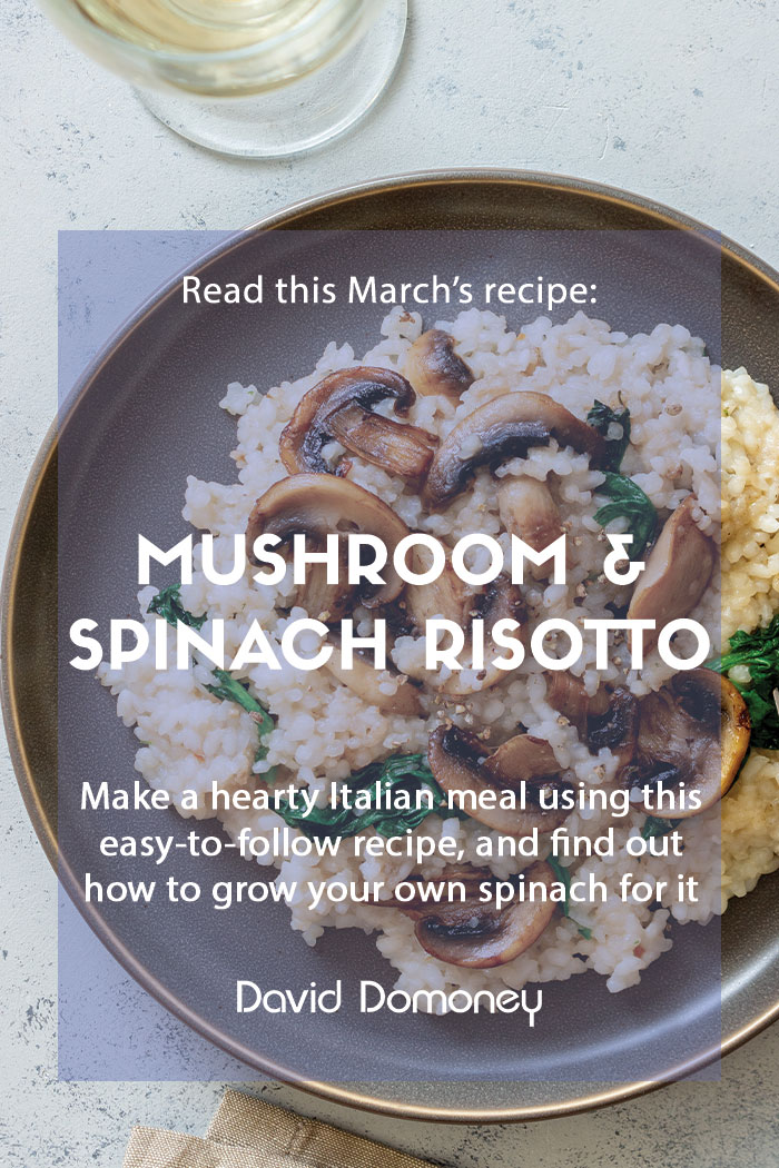 March recipe: Mushroom & spinach risotto