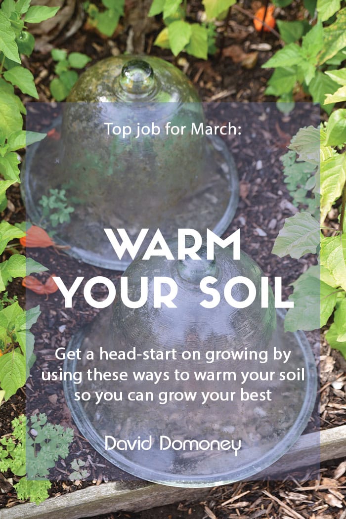 Top job for March: Ways to warm your soil