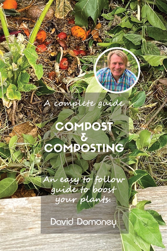 Complete Guide to Compost