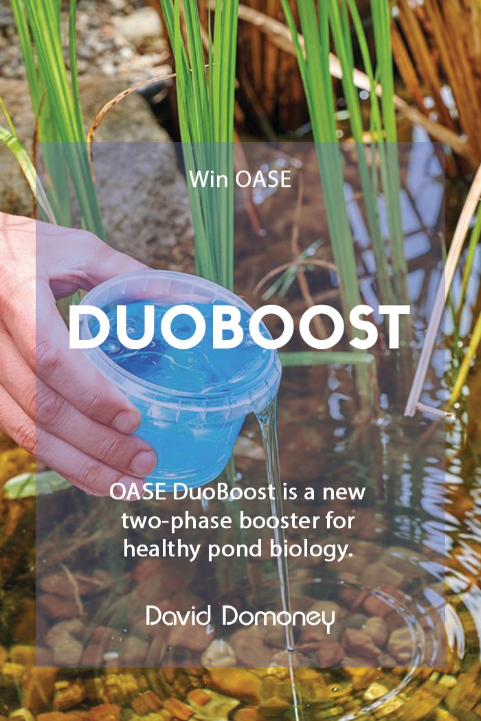 Win OASE DuoBoost