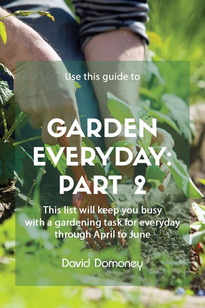 Garden every day of the year: Part 2 – April to June