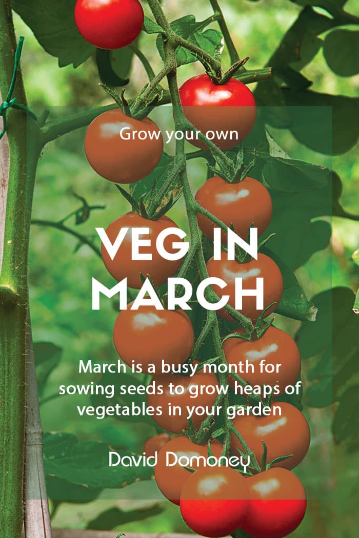 Top grow your own veg for March