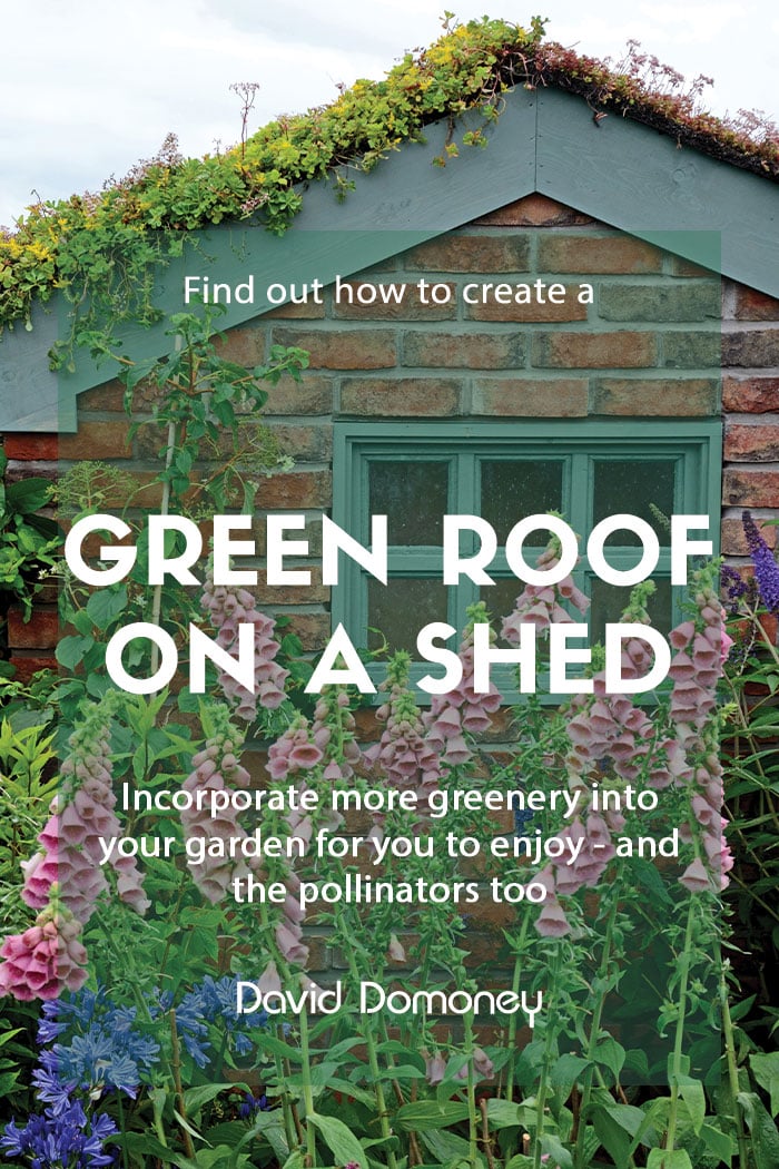 Planting a green roof on your garden shed