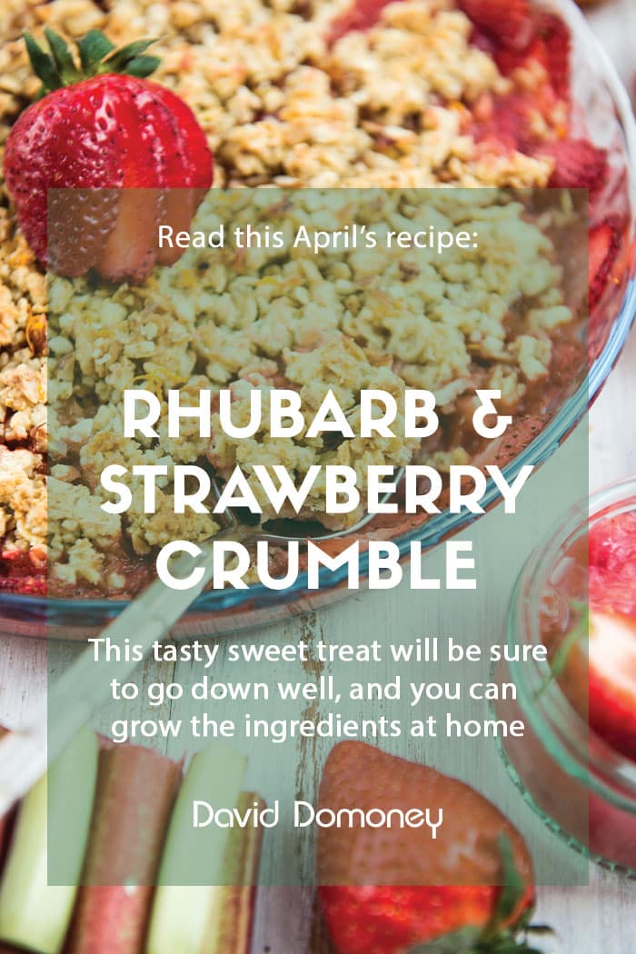 April recipe: Rhubarb and strawberry crumble