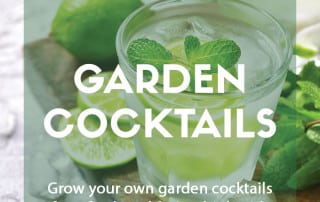 Recipe Garden cocktail feature