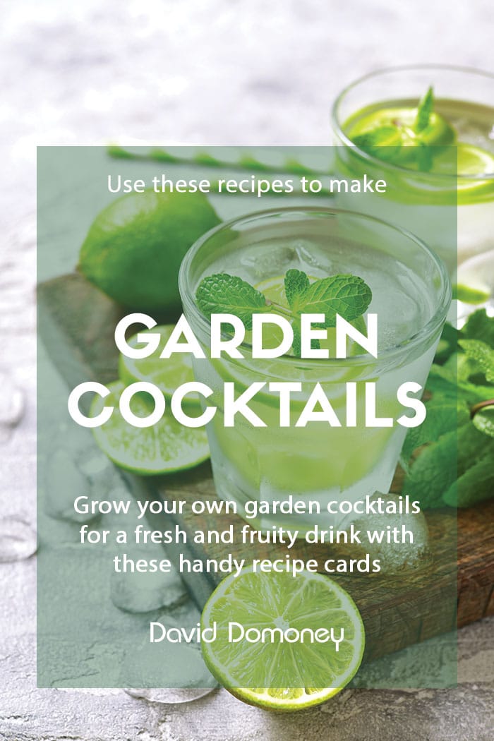 Recipe: Make your own garden cocktails