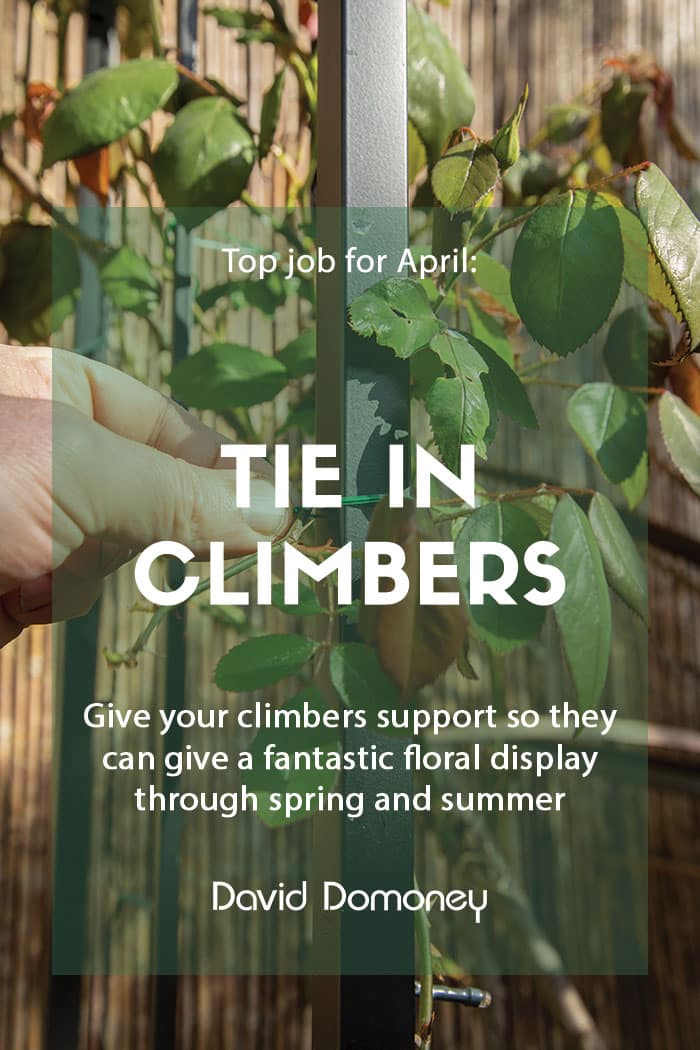 Top job for April: Tie in climbers