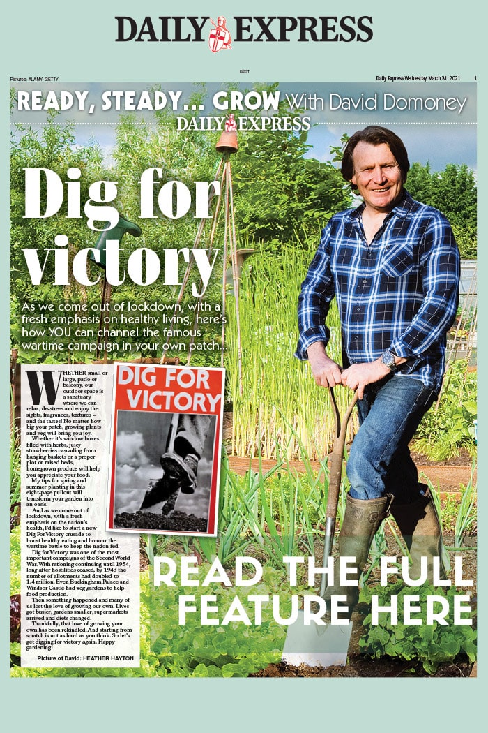 David Domoney Daily Express Gardening Feature