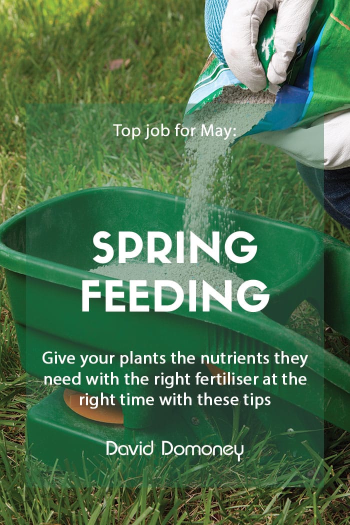 Top job for May: Spring feeding plants