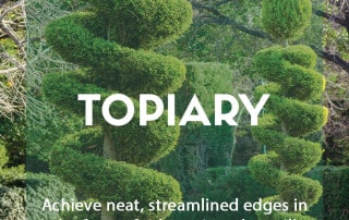 Topiary in the garden